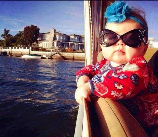 Роза Ветров