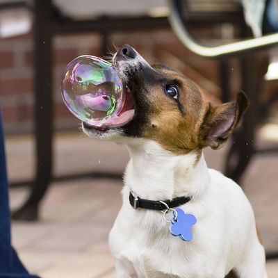 Виктория Цыденова