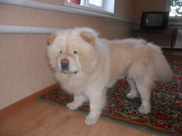 Александра Алексеевна