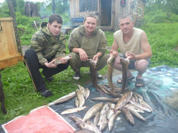 Андрей Семёнов