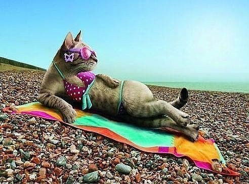 Ольга Соколова