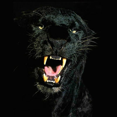 Юлия Хребтова