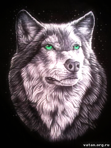 Рустам Уйгур