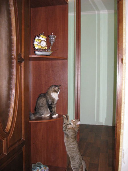 Ирина Печка