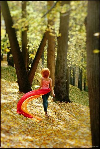 Анна Трошина