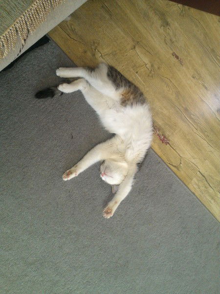 Жазира Ажимгалиева