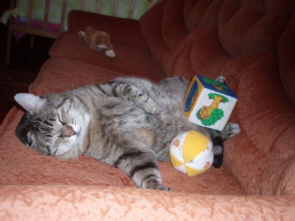 Лена Сорокина