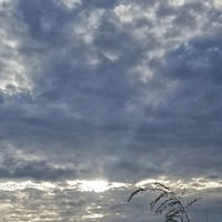 Влад Желязков