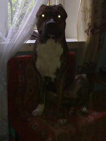 Иван Иванов