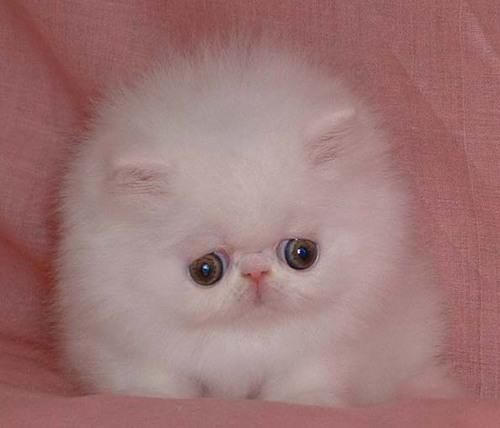 Наталья .наталья