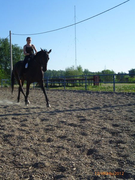 Алёна Тарасова