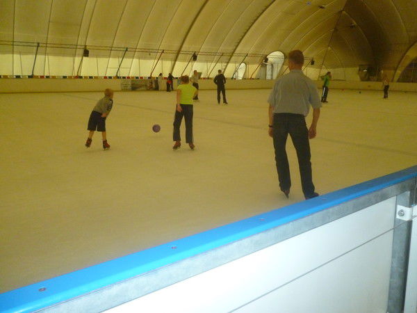 Елена Шевчук-Цверкович