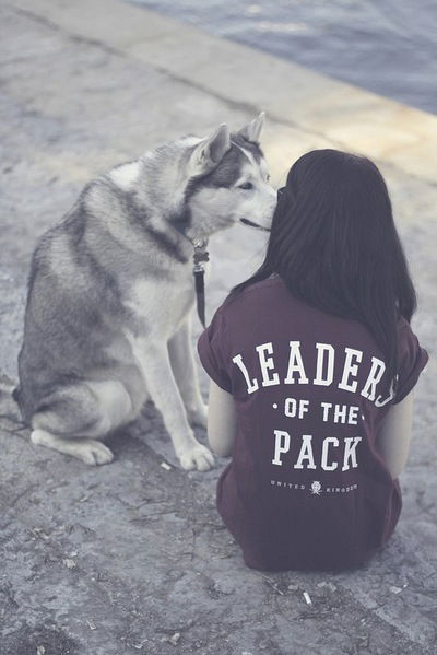 Виолетта Рихард