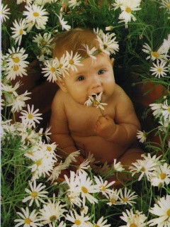 __ Ольга __ *)))))