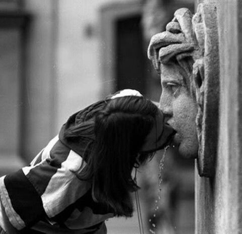 Екатерина Шляхтенко