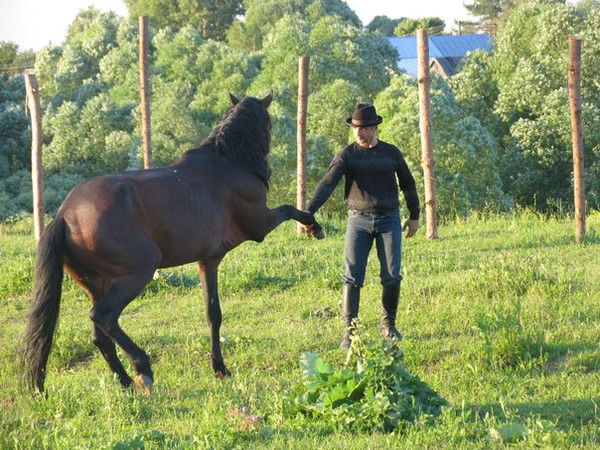 Руслан Камилов