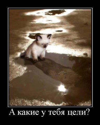 Татьяна Широкова