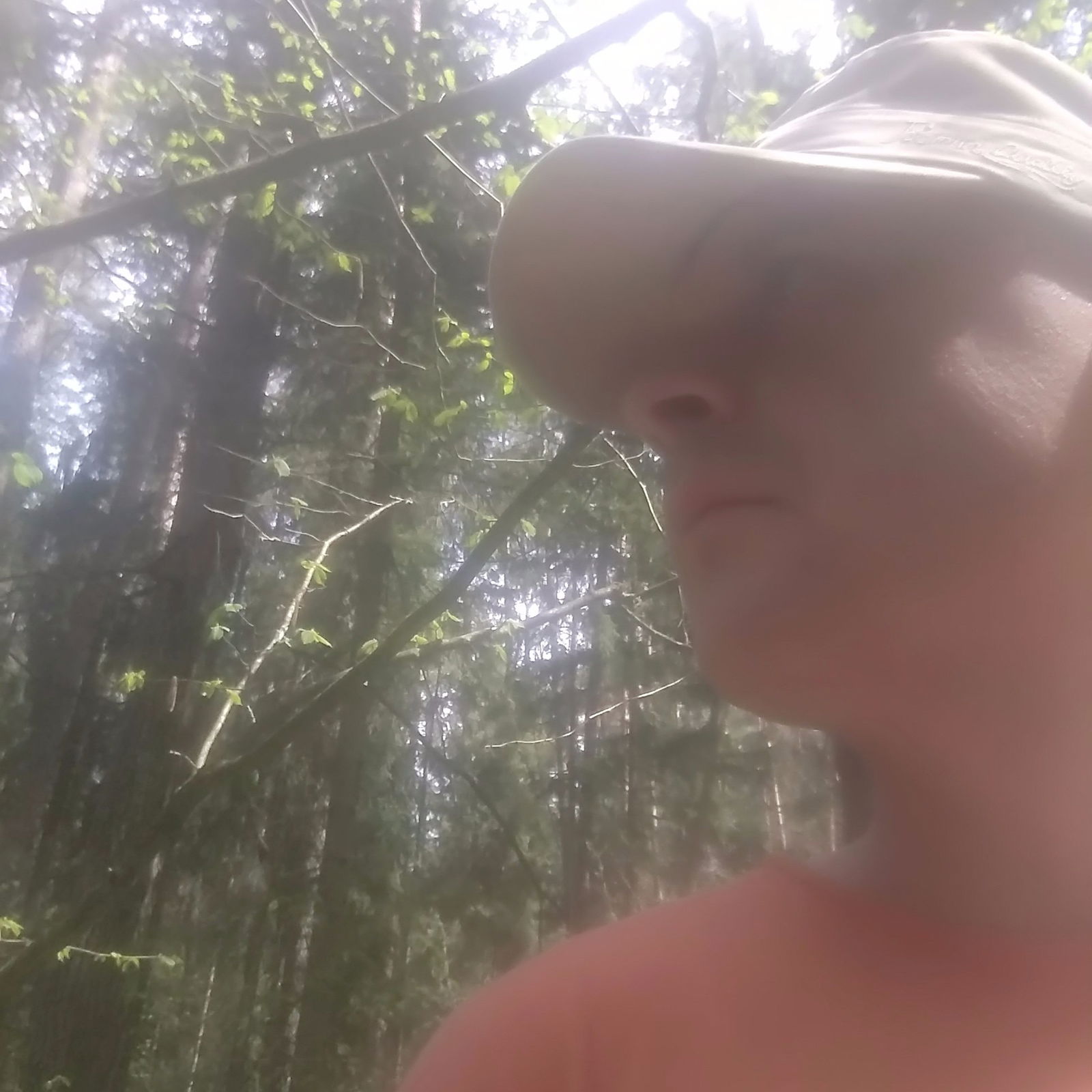 Александр Ерофеев