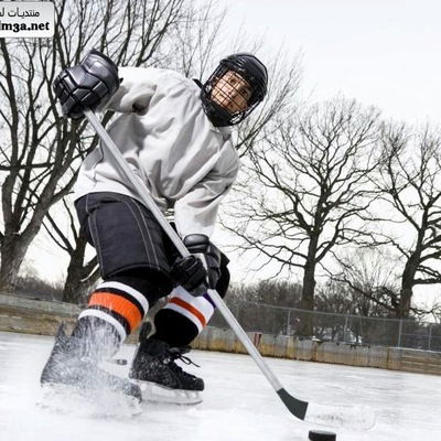 Егор Шевченко