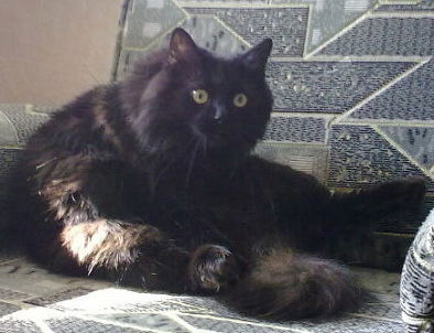 Aleksandra Visotskaya