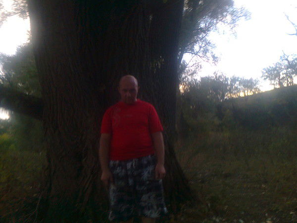 Евгении Дорохов