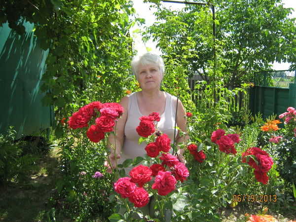 Аза Калиберда