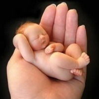 Жаннур Секербеков