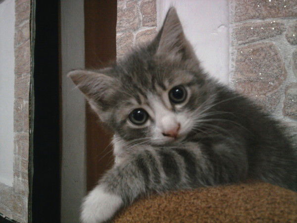 Марина Островерхова