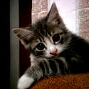 Марина Островерхова