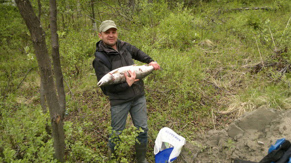 Дмитрий Трухин