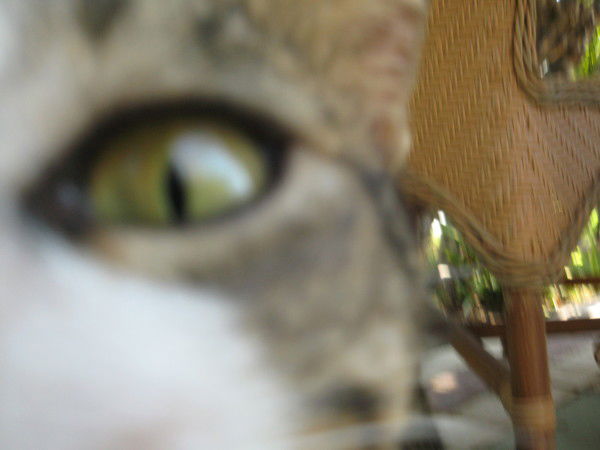 Александр Макаров