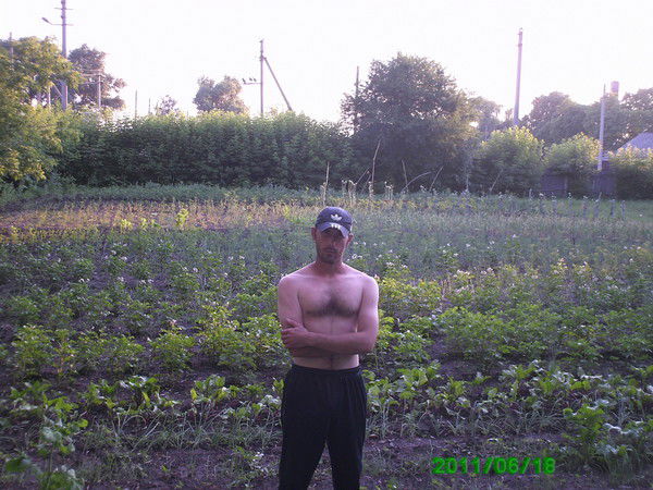 Артём Покотило