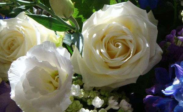 Томирис Тенгри