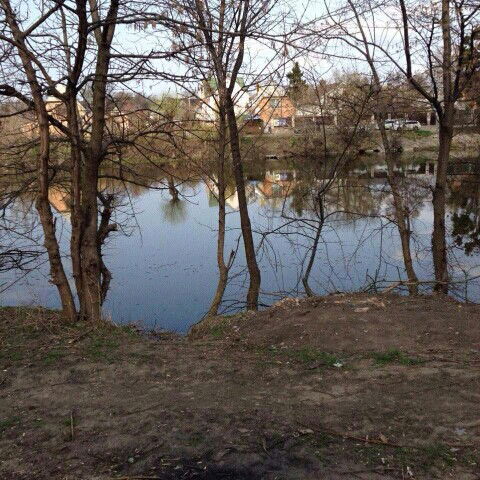 Сергей Пичкорский