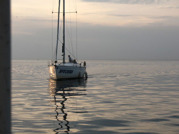 Роман Пролиско