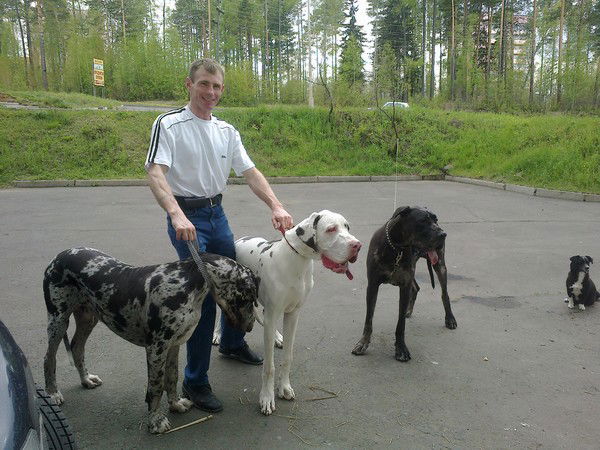 Демьян Мальцев