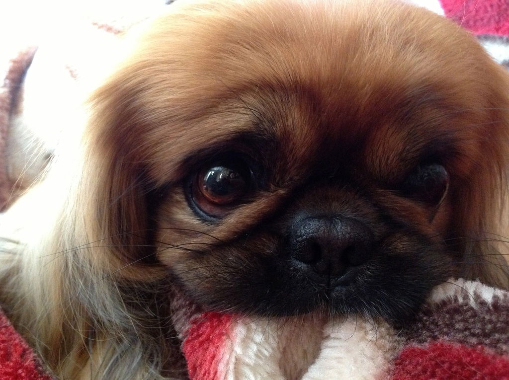 ..::насяся::.. <...>