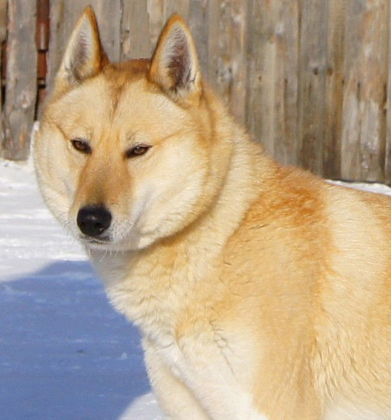 Александр Таран