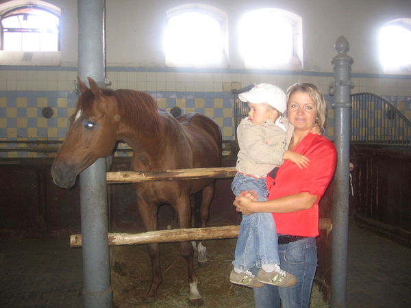 Екатерина Шумило