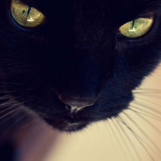 Ирина Сухачева