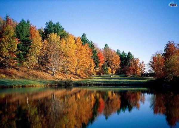 Наталья Захарова