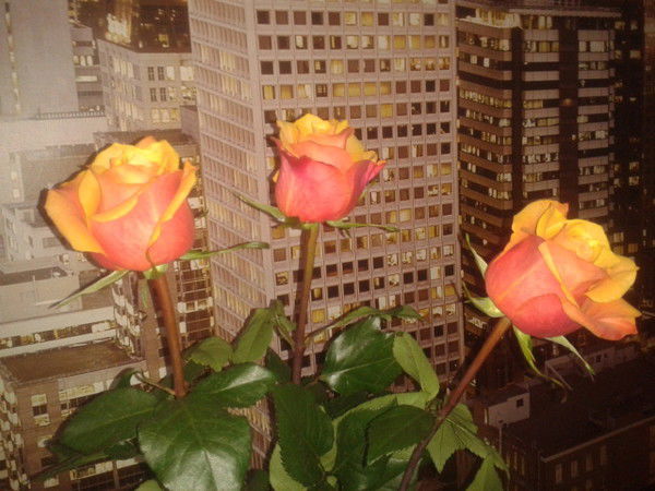 Марина И.......