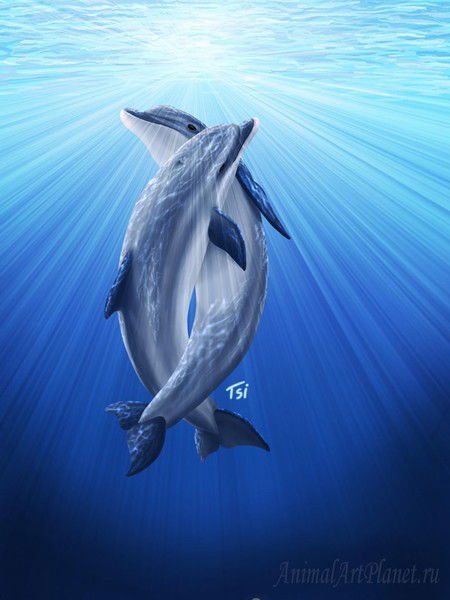 Рыбопитомник Тоо