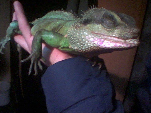 Шабанов Александр