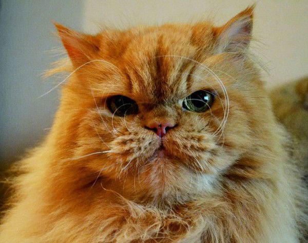 Ярослав Возницкий