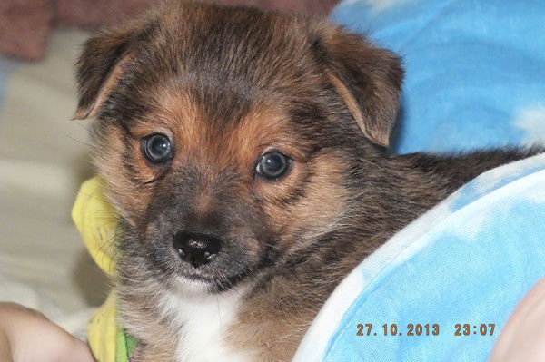 Марина Гуселетова