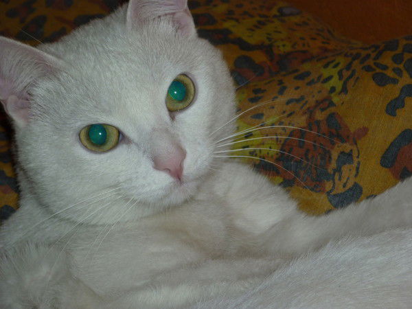 Карина Кузнецова