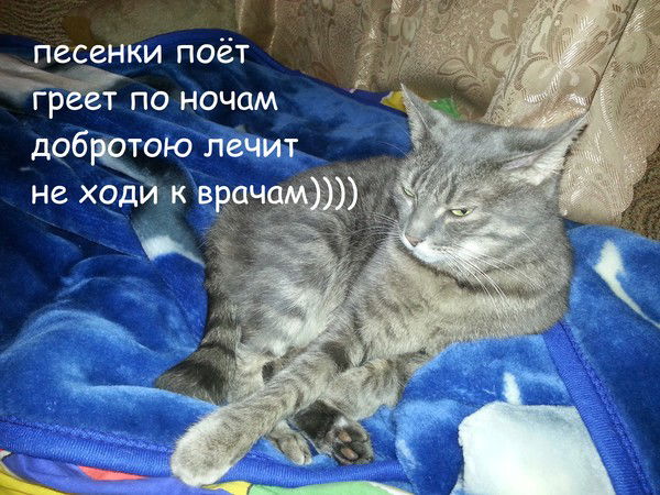 Света Загороднова