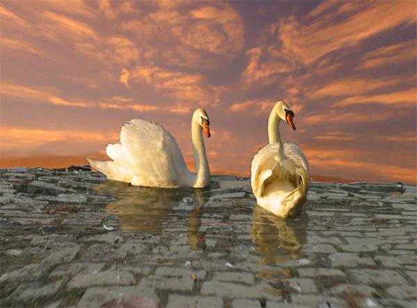 Галина Победимова