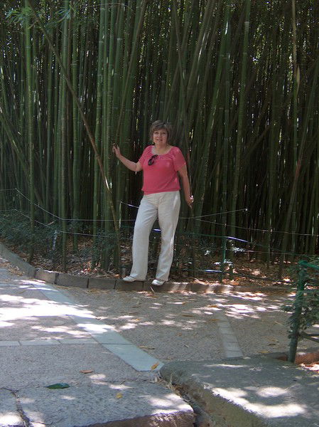 Алина Артемова